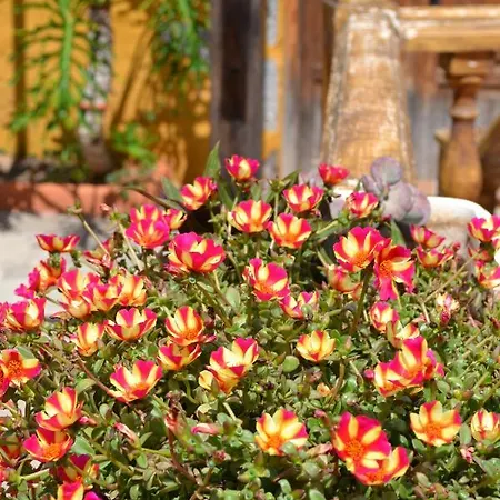 Traditional Canarian Country House 2* Valsequillo de Gran Canaria
